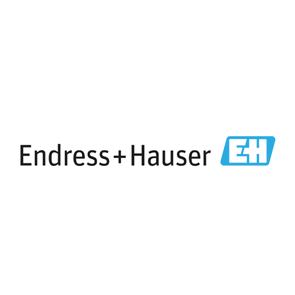 endress+Hauser